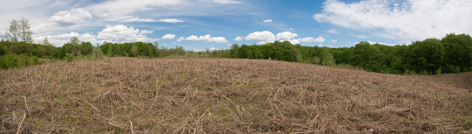 MREZNICA PANORAMA2